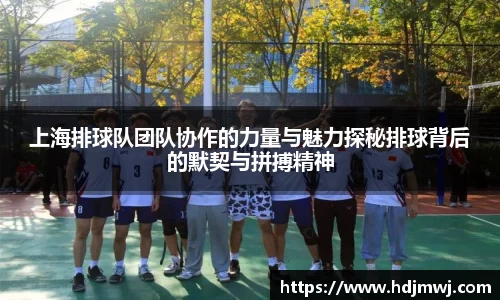 bevictor伟德APP
