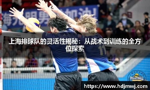 上海排球队的灵活性揭秘：从战术到训练的全方位探索