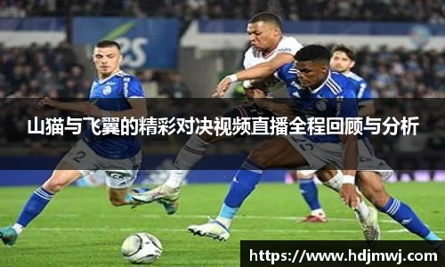 山猫与飞翼的精彩对决视频直播全程回顾与分析