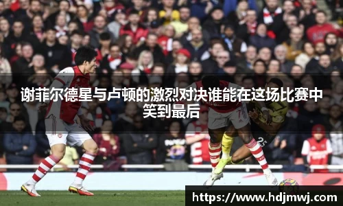谢菲尔德星与卢顿的激烈对决谁能在这场比赛中笑到最后