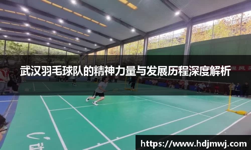 武汉羽毛球队的精神力量与发展历程深度解析